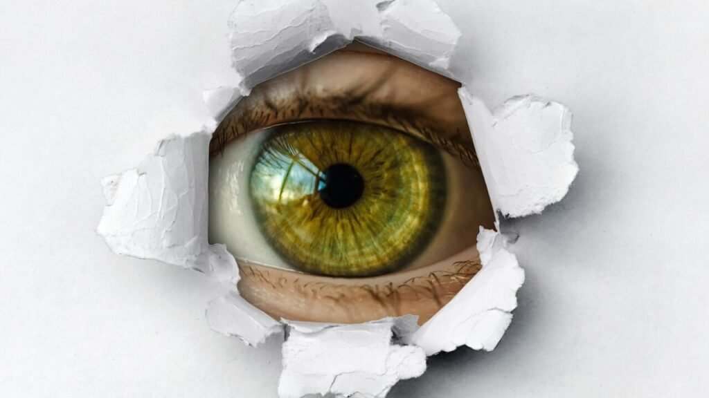 I spy werkblad gratis als PDF downloaden
